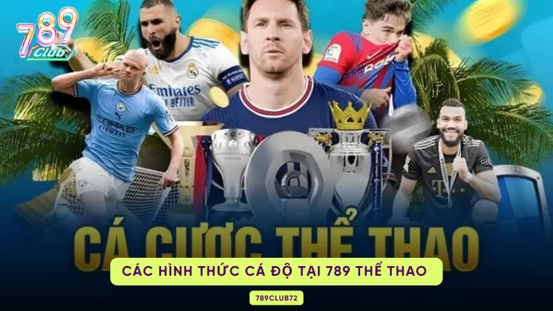các hình thức cá độ tại 789 thể thao