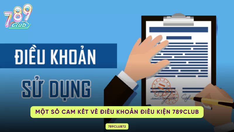 cam kết về điều khoản điều kiện